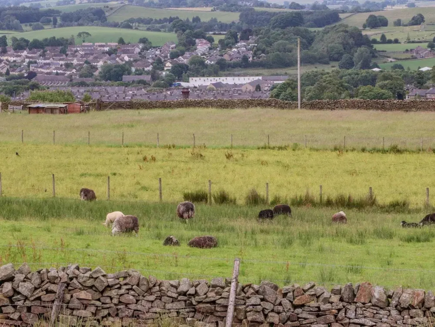 The Herdsman Luxury Shepherds Hut