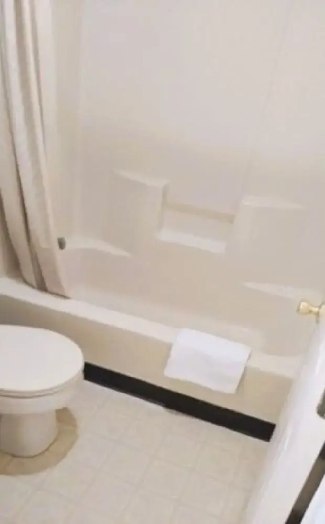 OYO Hotel McIntyre GA, US 441