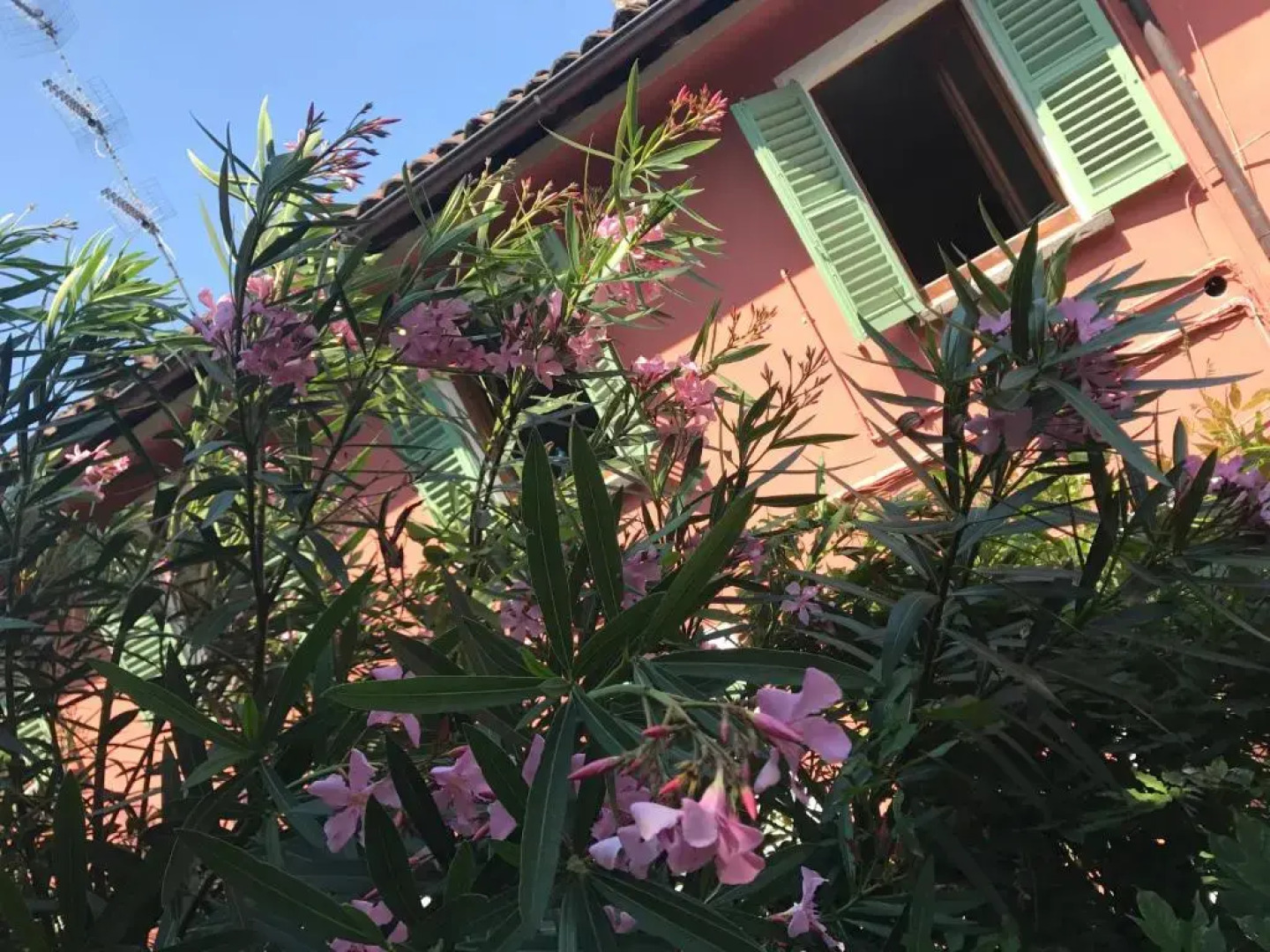 Il Giardino Segreto Arona