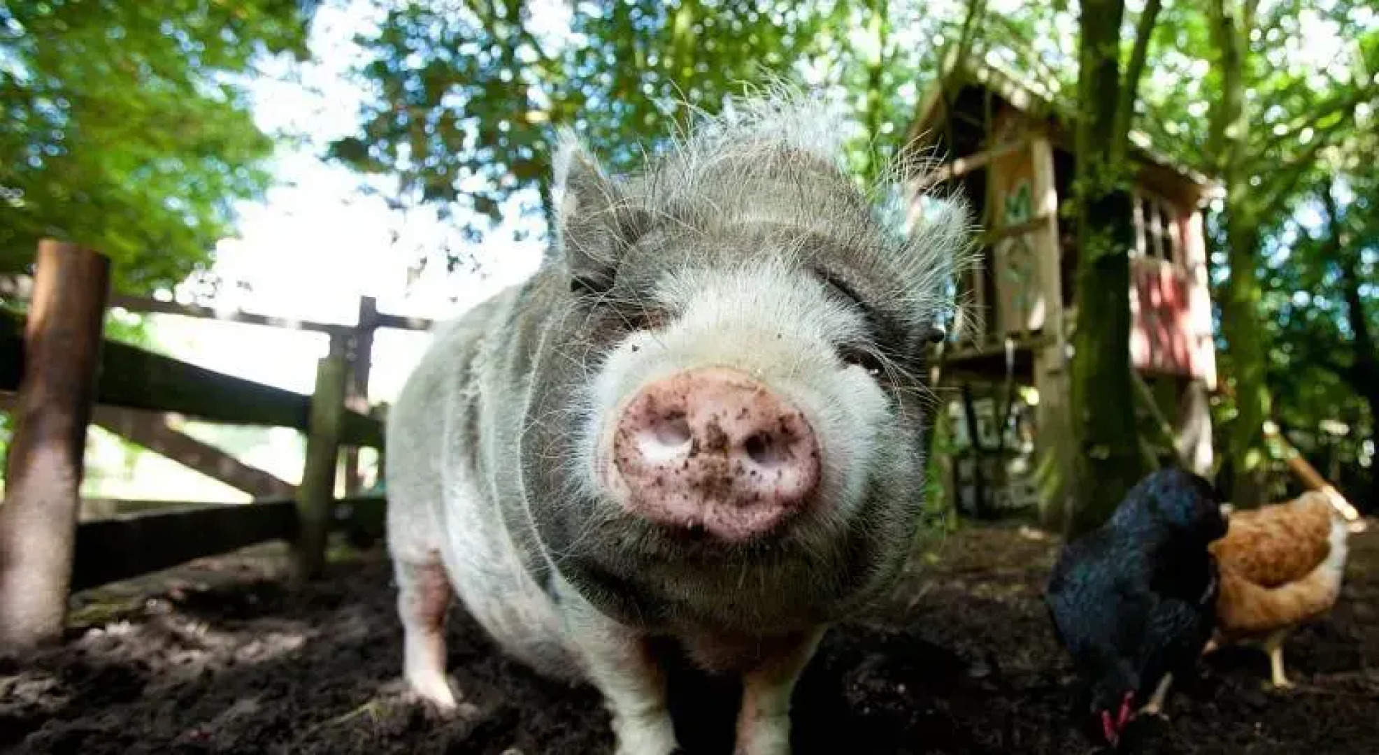 Guesthouse de Wroeter Epe