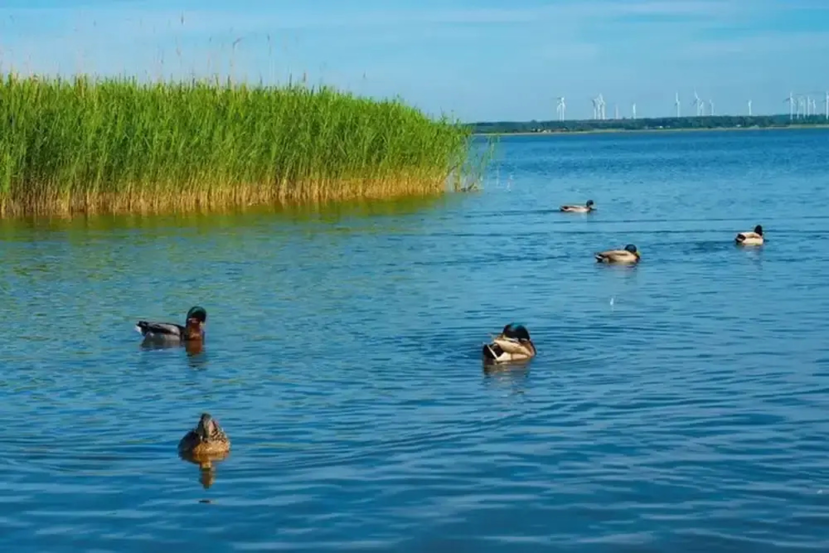Wooden Summer Houses, Bobolin