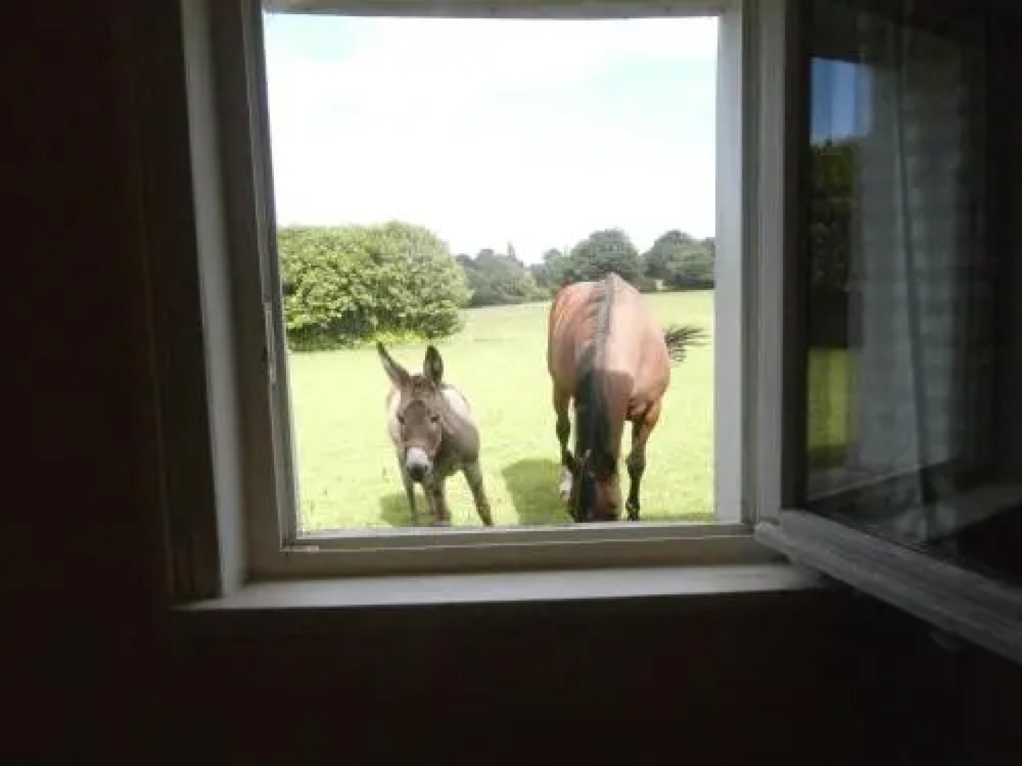 Aux Pommiers de Livaye