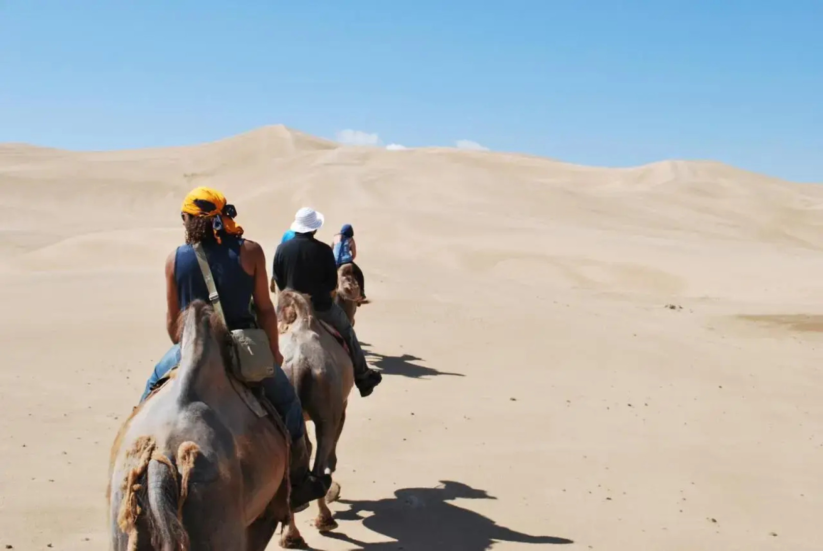 Golden Gobi Guesthouse & Tour