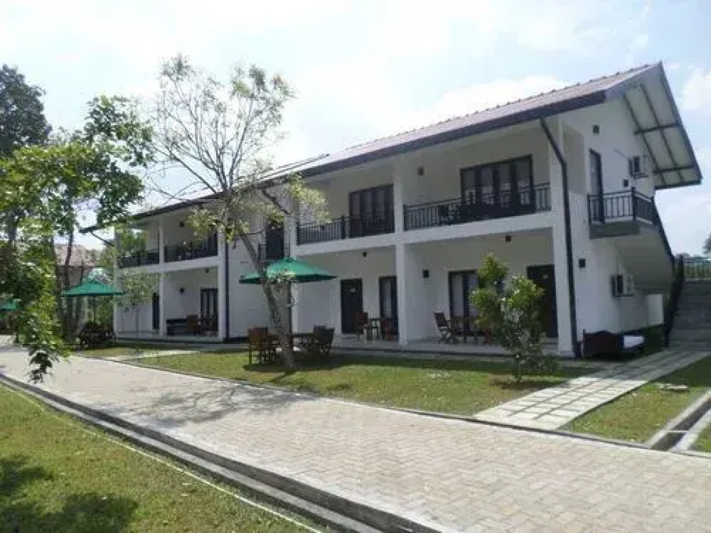 Oak Ray Elephant Lake