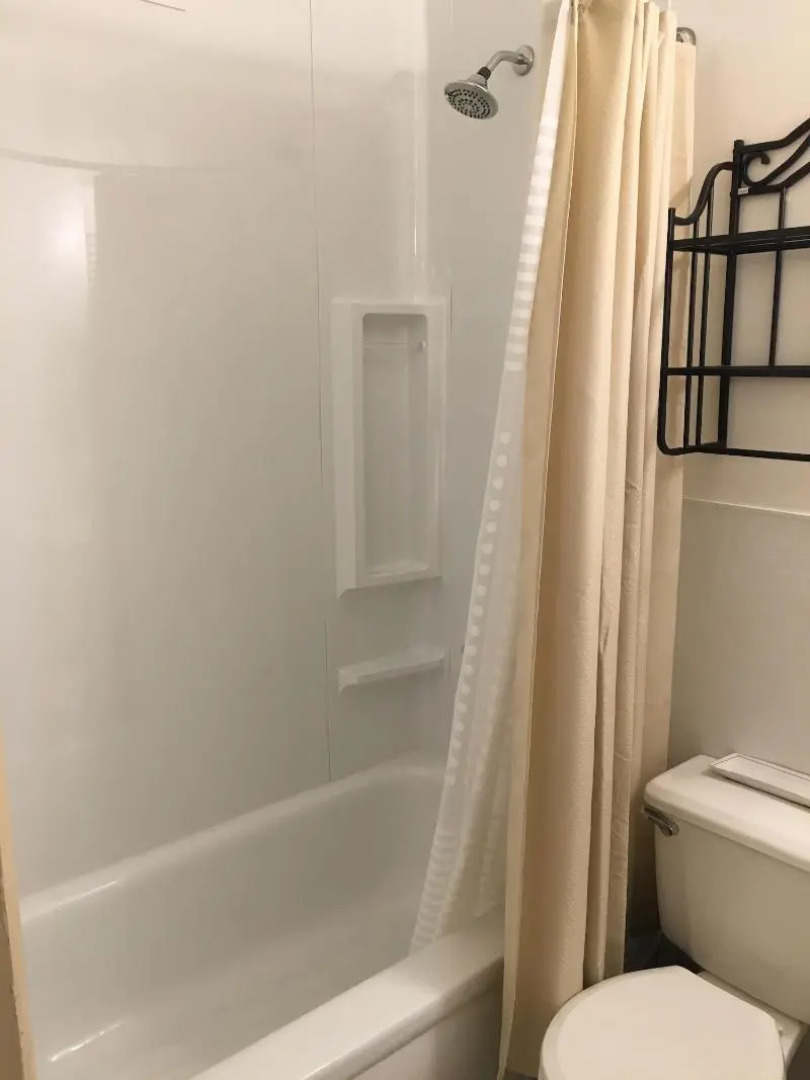 The Green Tree Hotel