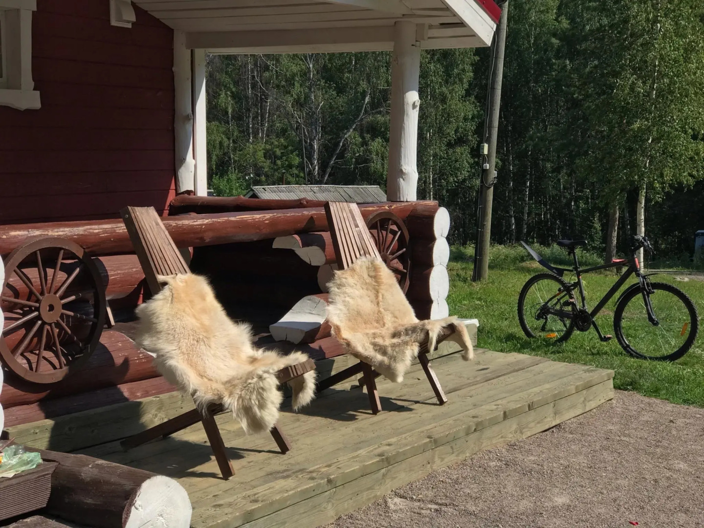 Медвежья лапа