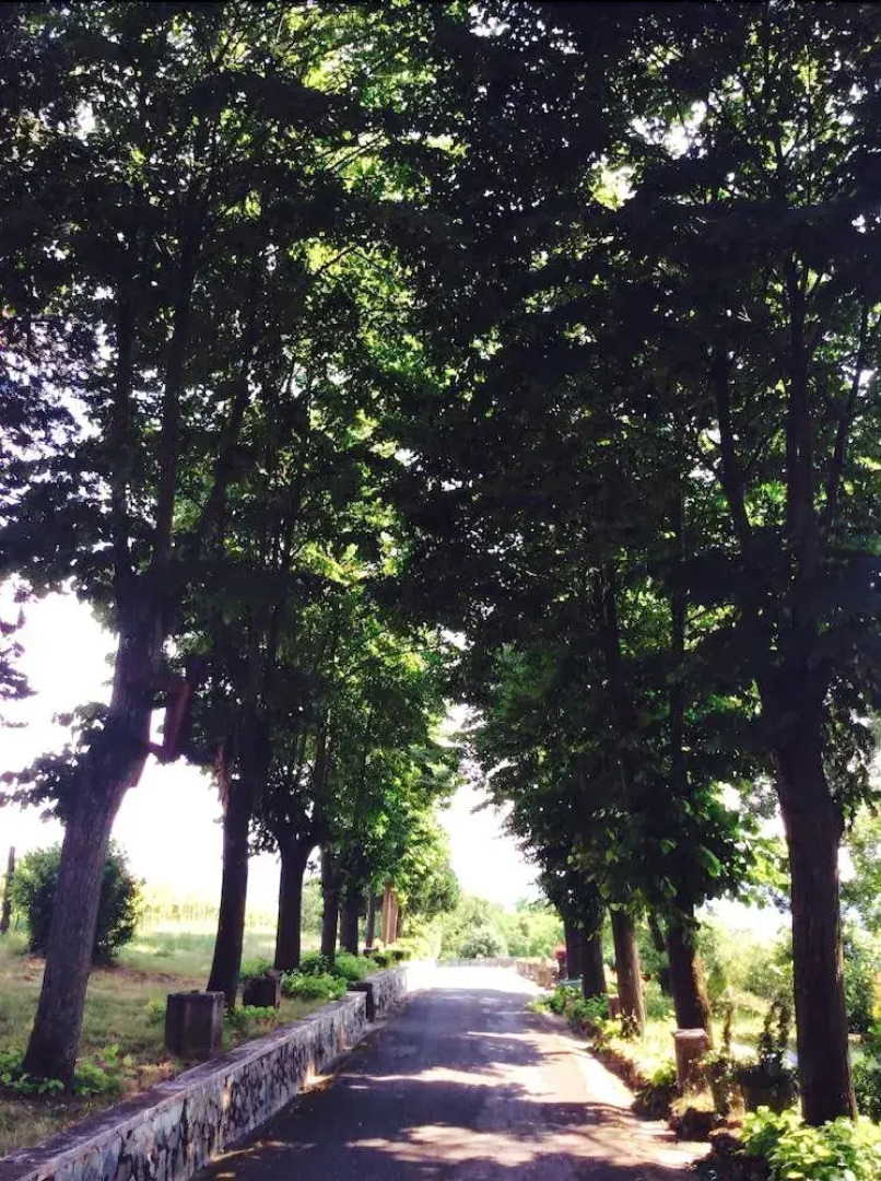 Agriturismo Podere Luciano