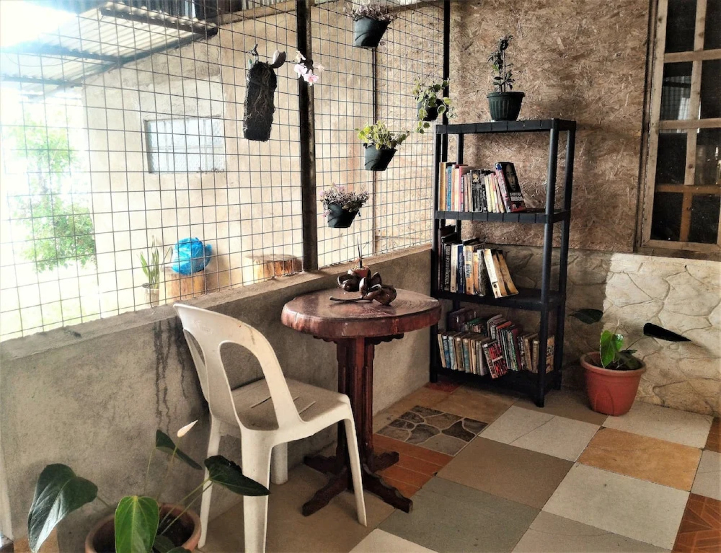 Tribuhaus Backpackers Inn