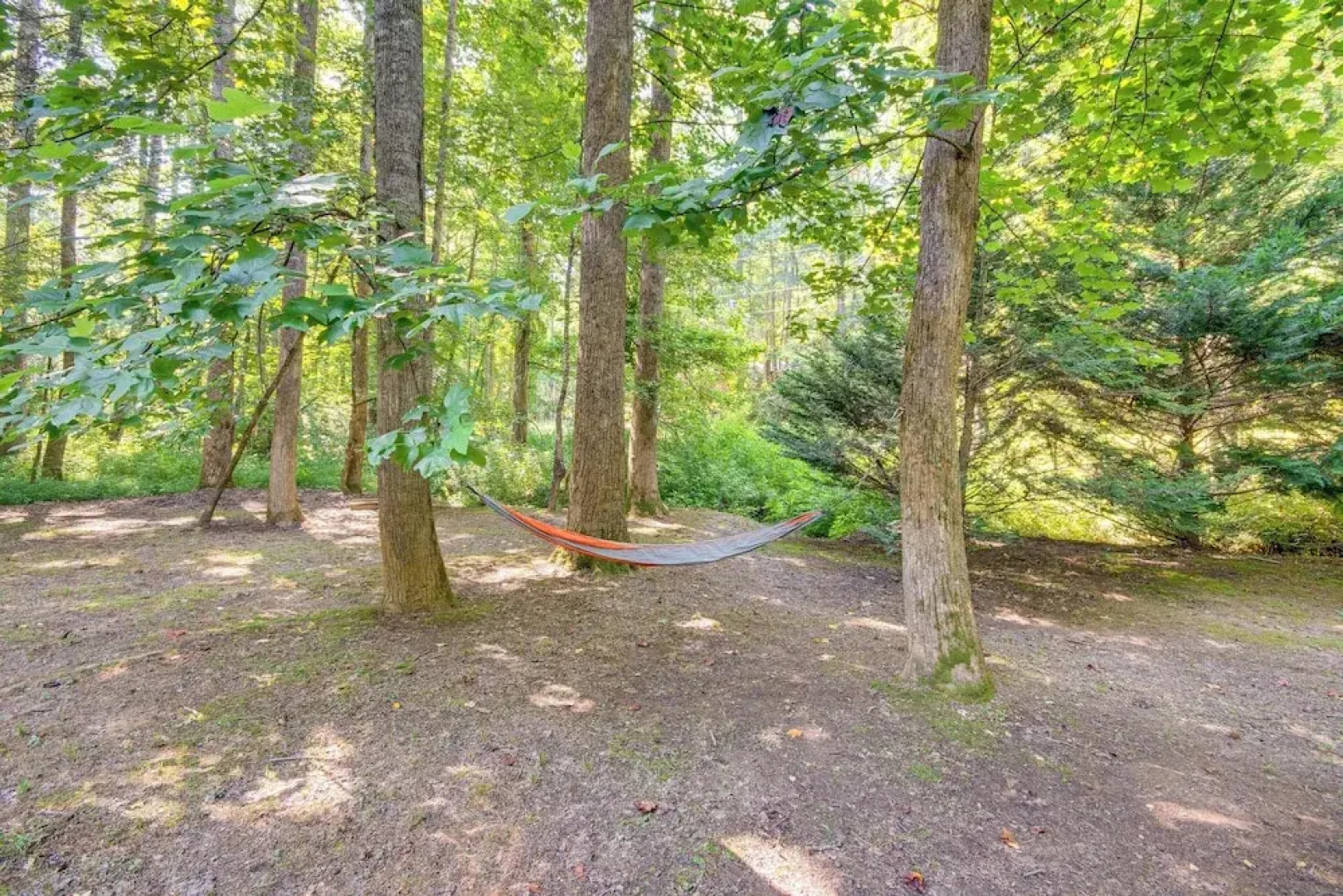 Sandy Beach, Fun Games & Barn: Lake Lure Gem!