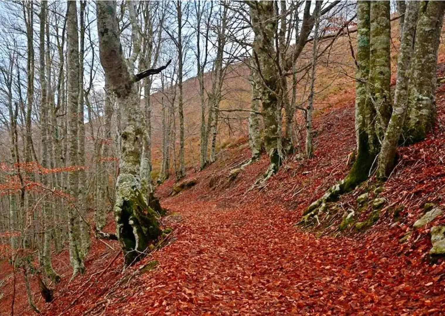 House With 3 Bedrooms in Berroeta, With Balcony and Wifi