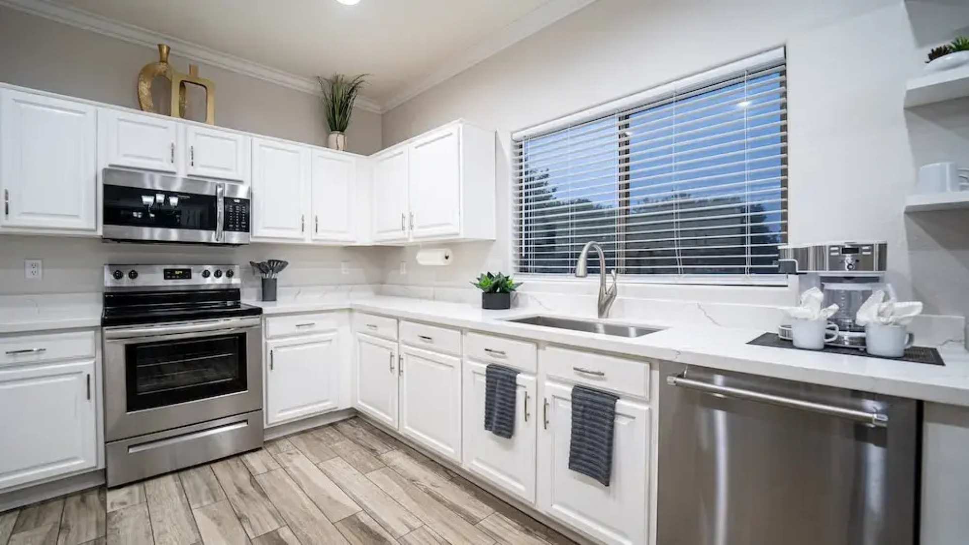 Desert Queen Queen Creek