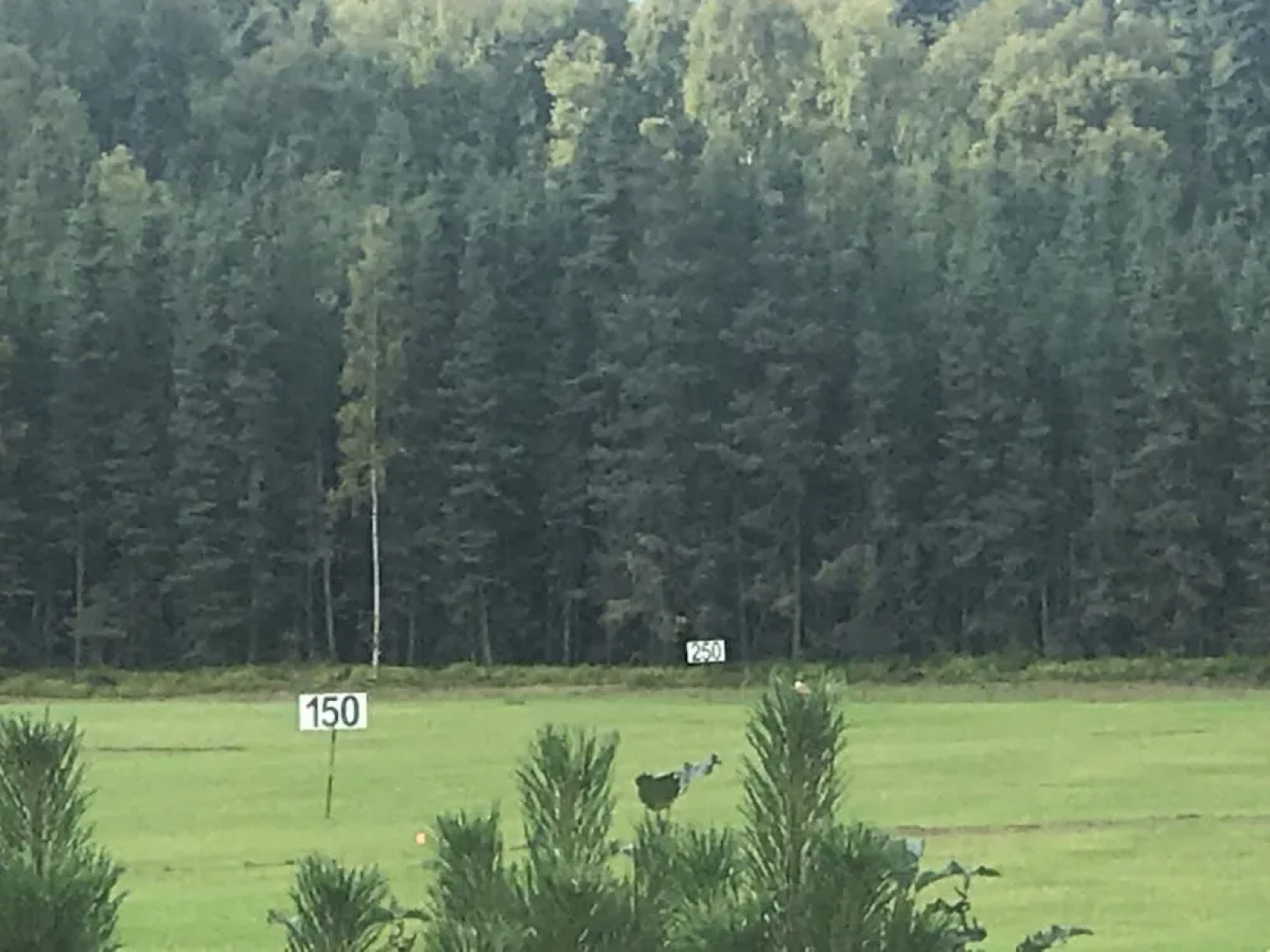 Aurora Pioneer Manor