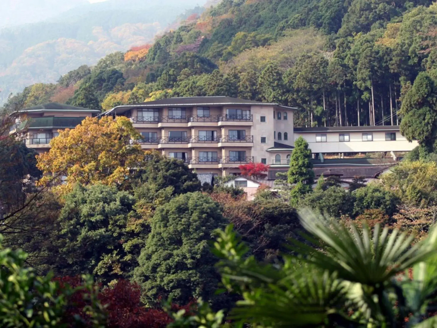 Отель Hakonenomori Okada