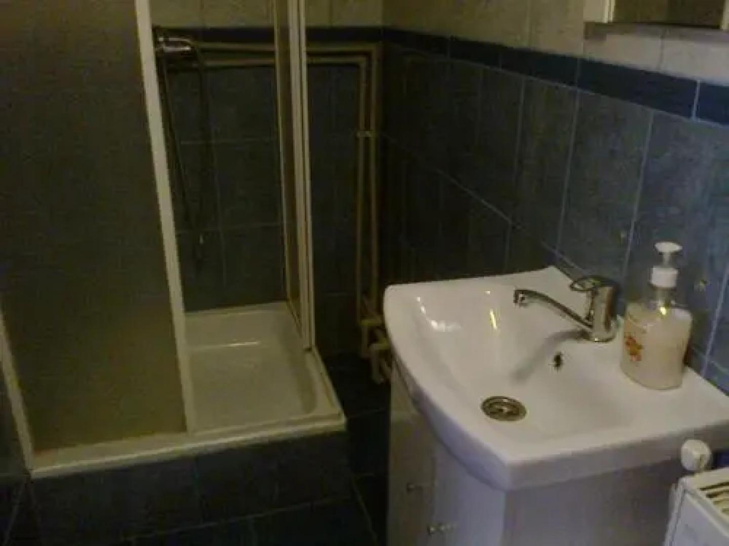 pensiunea Montana Sapinta