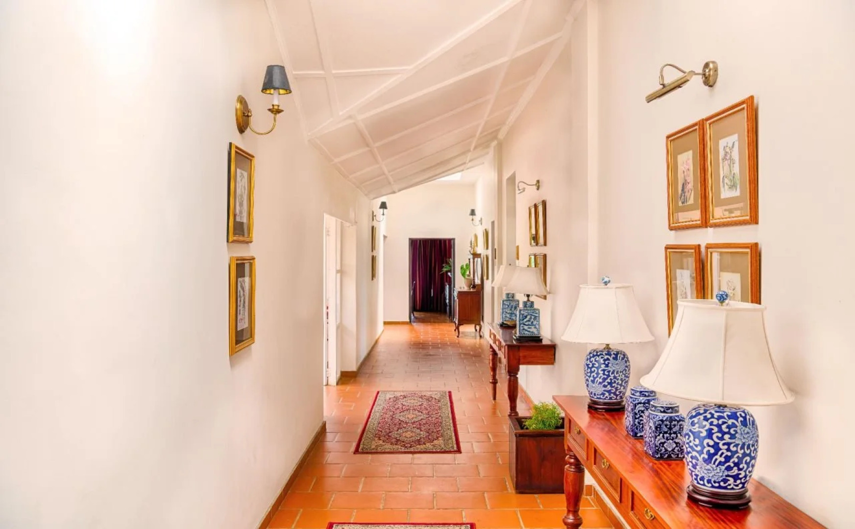 Dickoya by Zinc Journeys