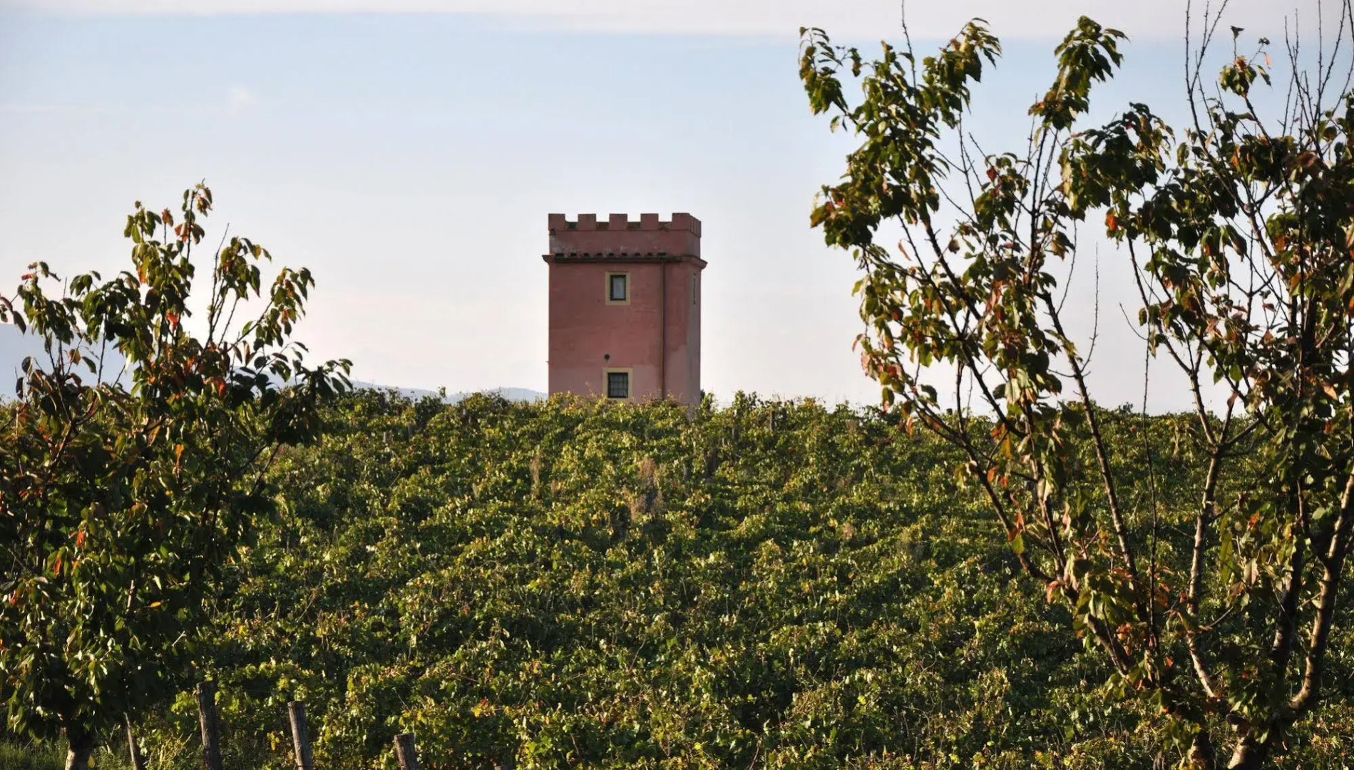 Fattoria Santa Lucia & Le Tagliate
