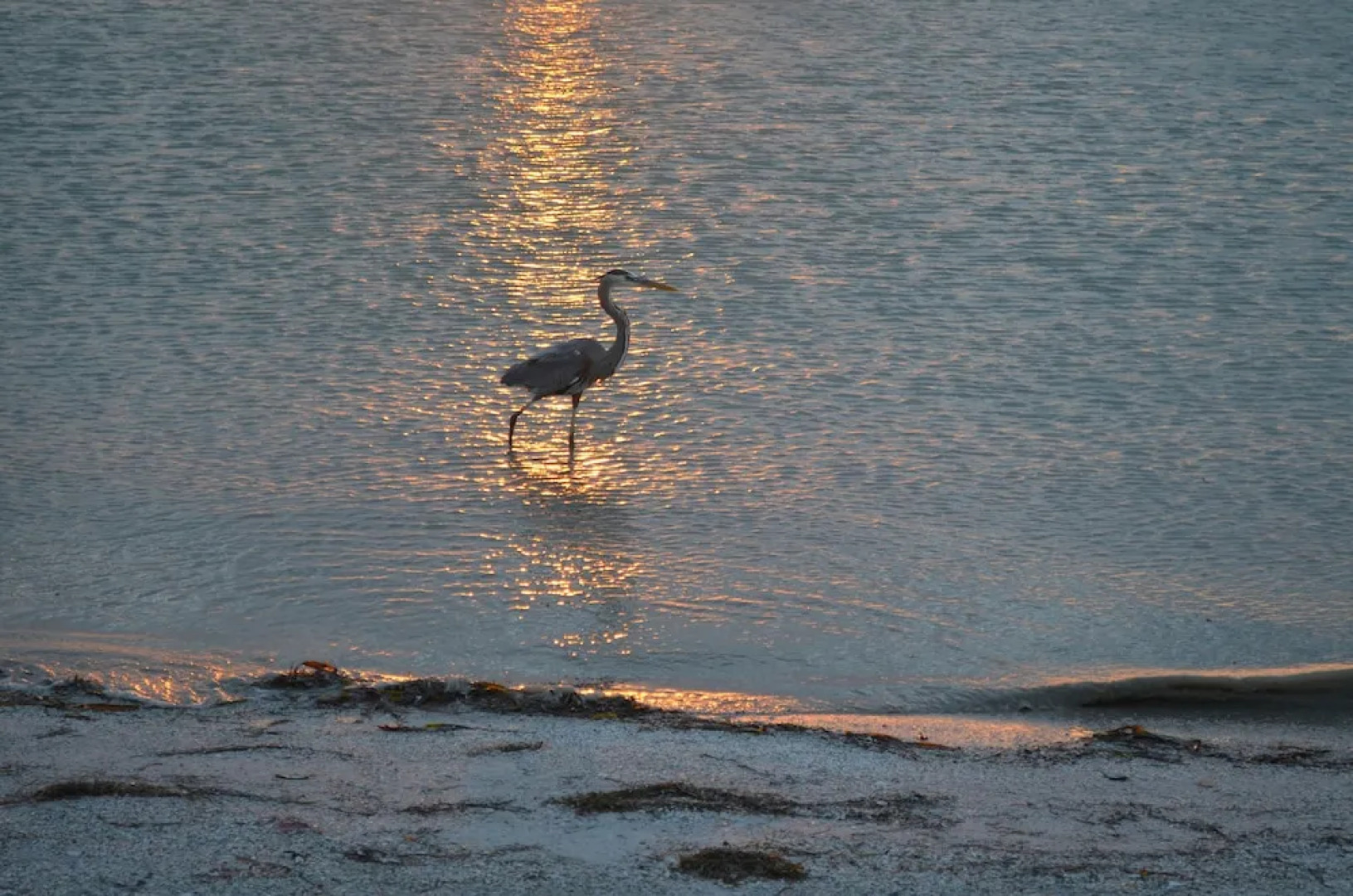 Pass-a-Grille Beach Historic Spanish Triplex