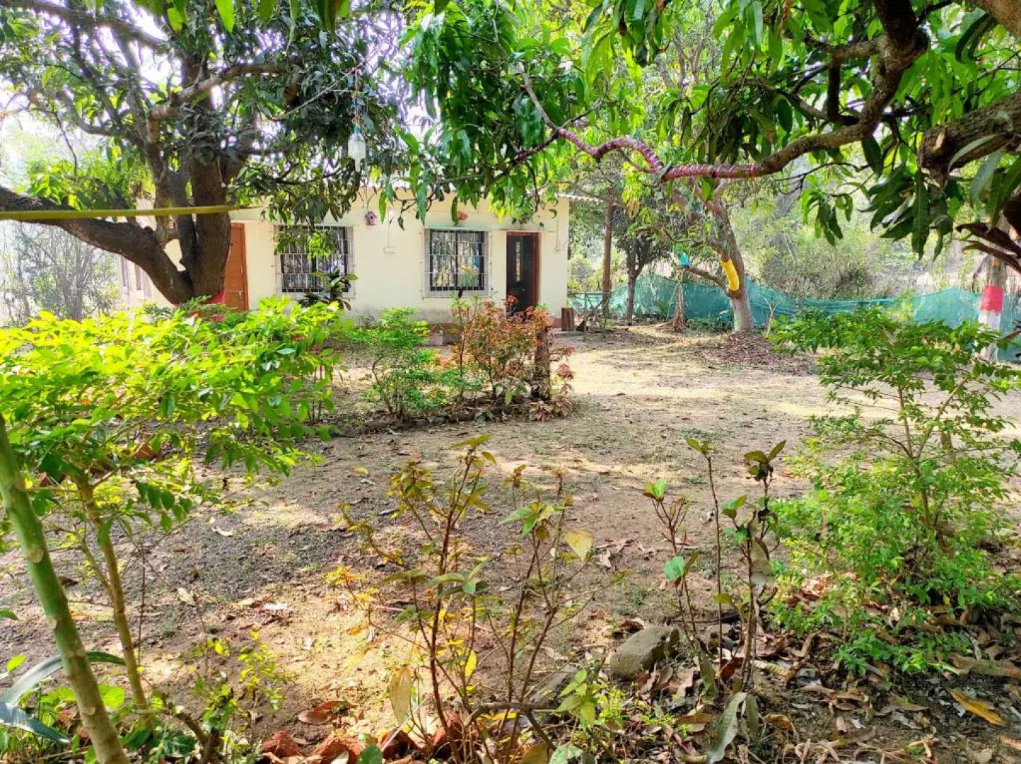 River Bird (Dalvi's Farm Tourism)