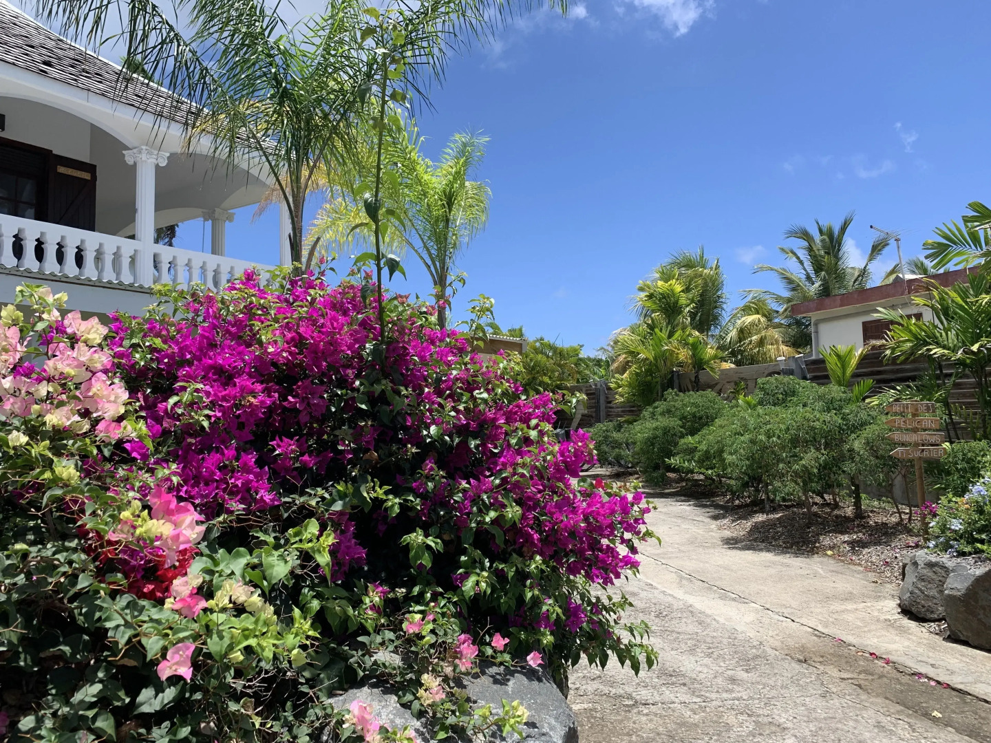 Domaine Saint Francois