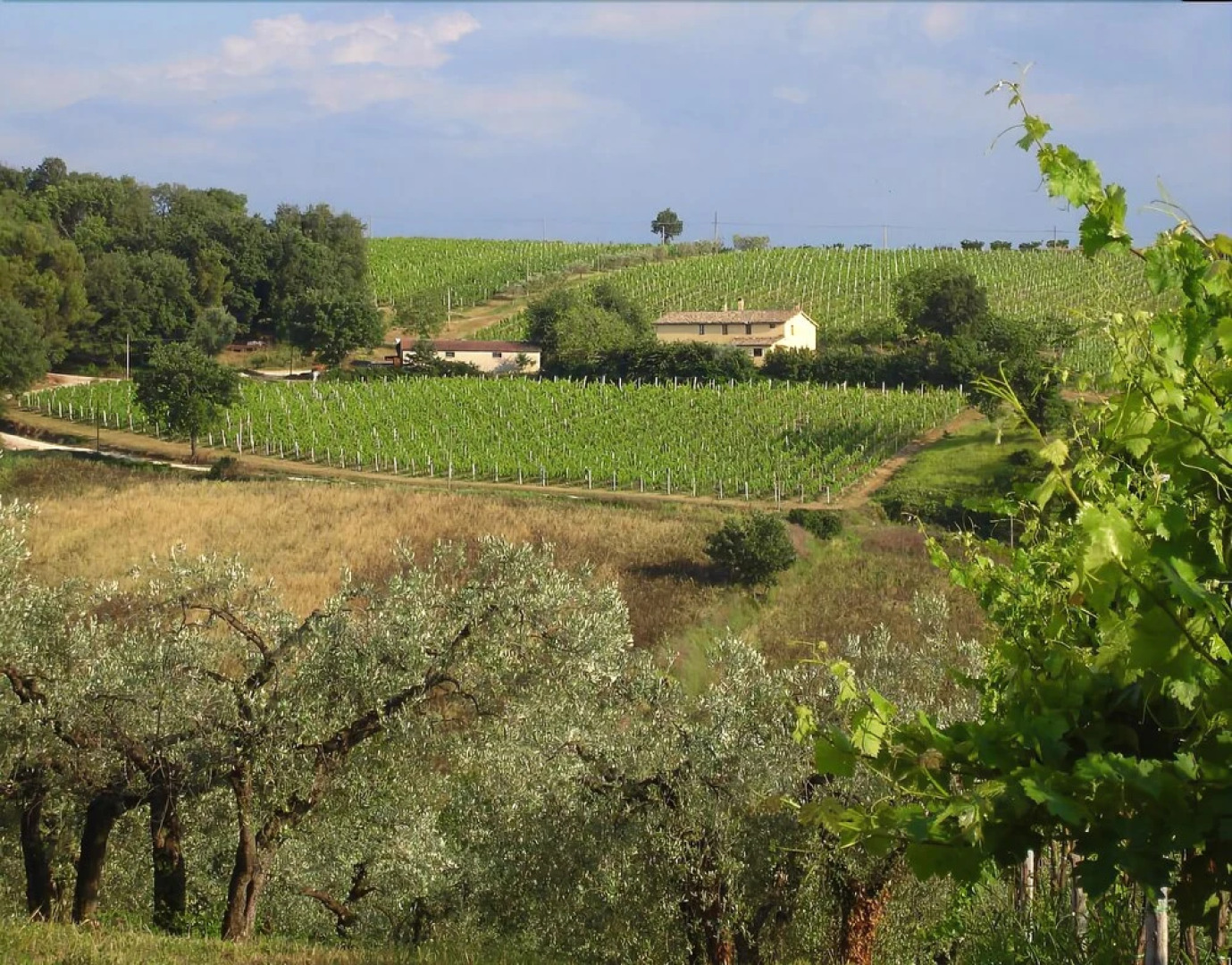 Agriturismo Gli Olmi