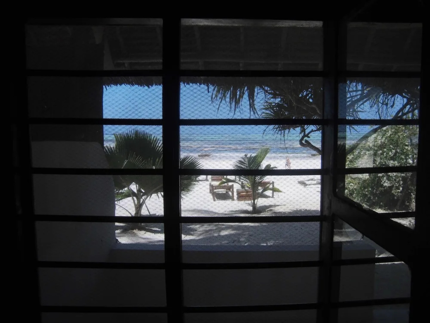 Simba Beach Zanzibar