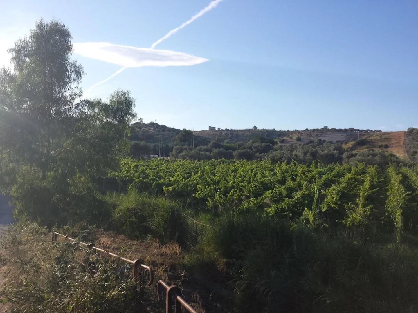 Agriturismo Donna Beatrice