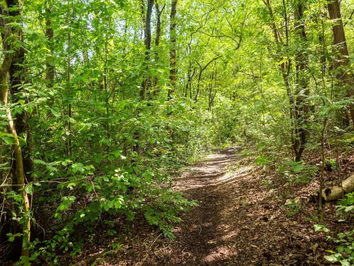 Cozy Villa w/ Sauna and BBQ