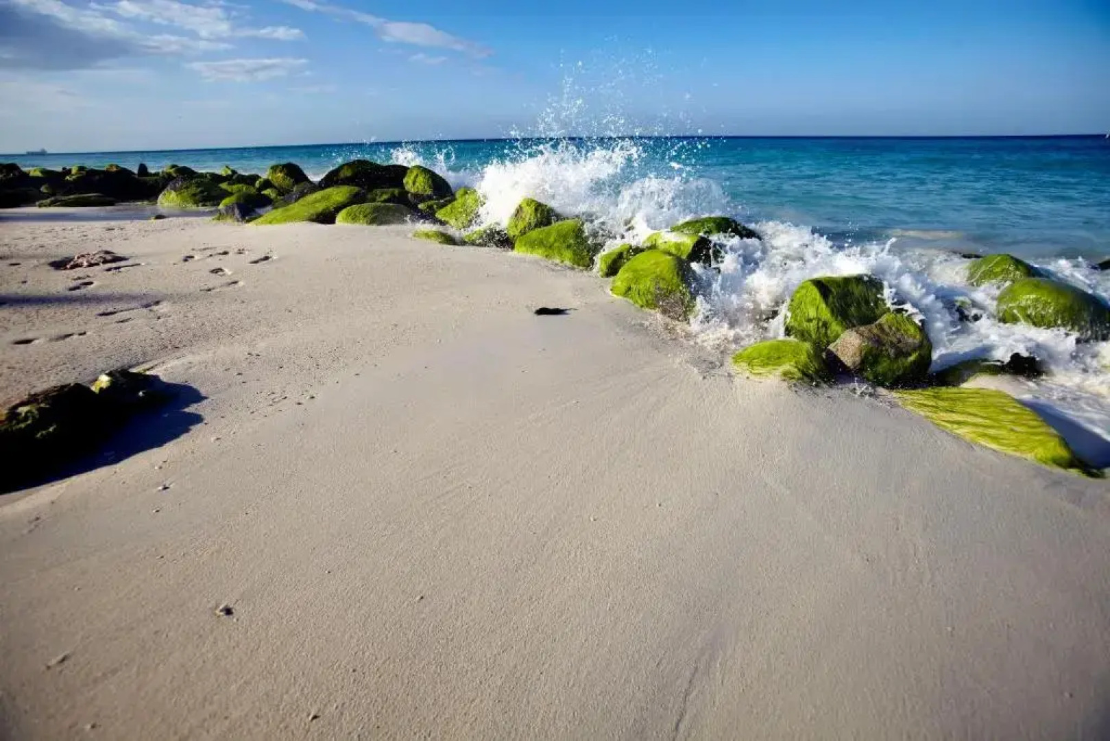 Villa Bougainvillea Aruba