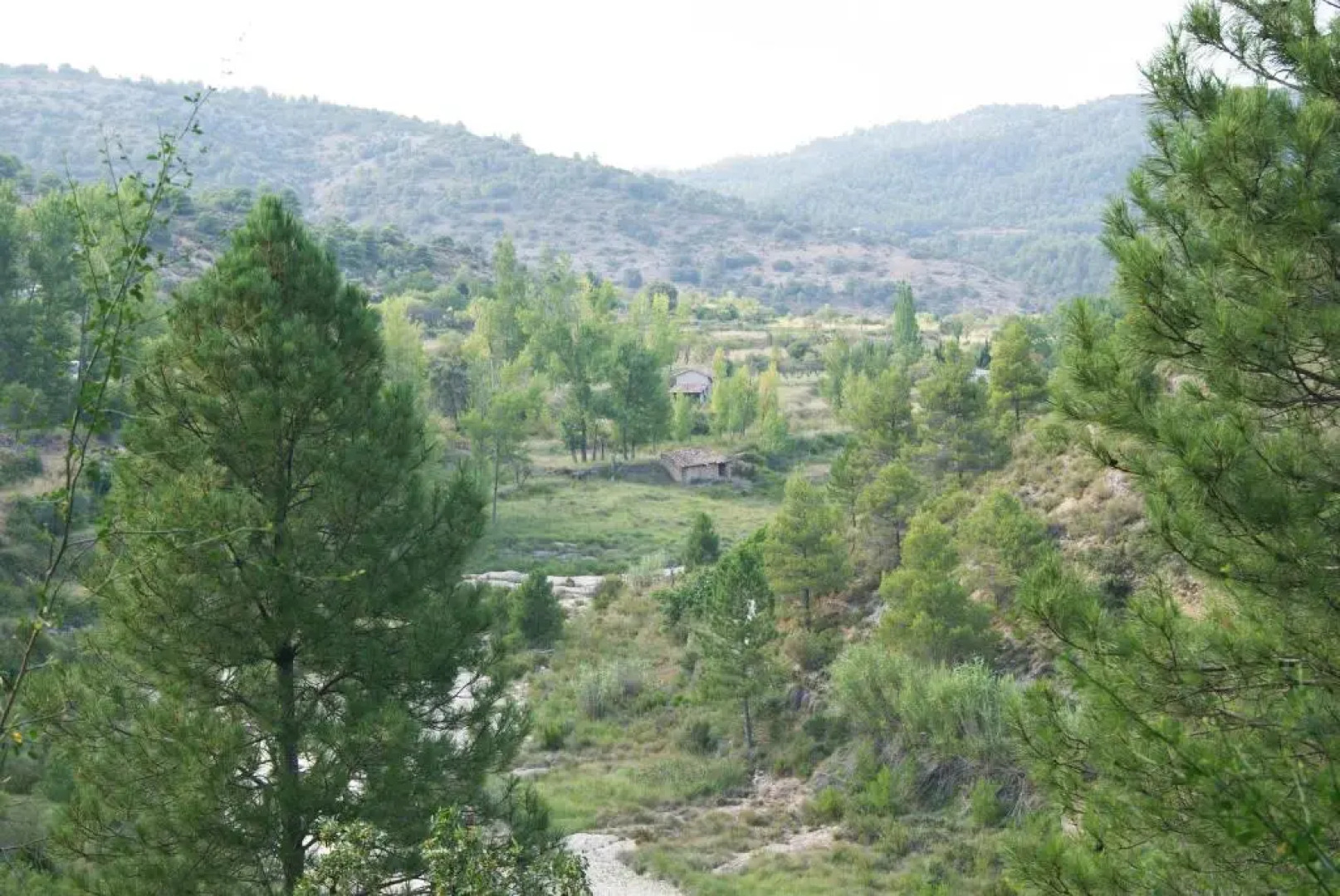 Apartamentos Doña Candida