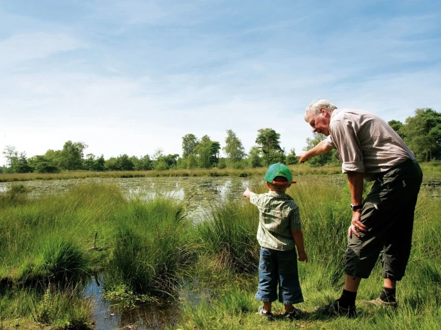 Furnished Chalet Located near Oisterwijkse Vennen