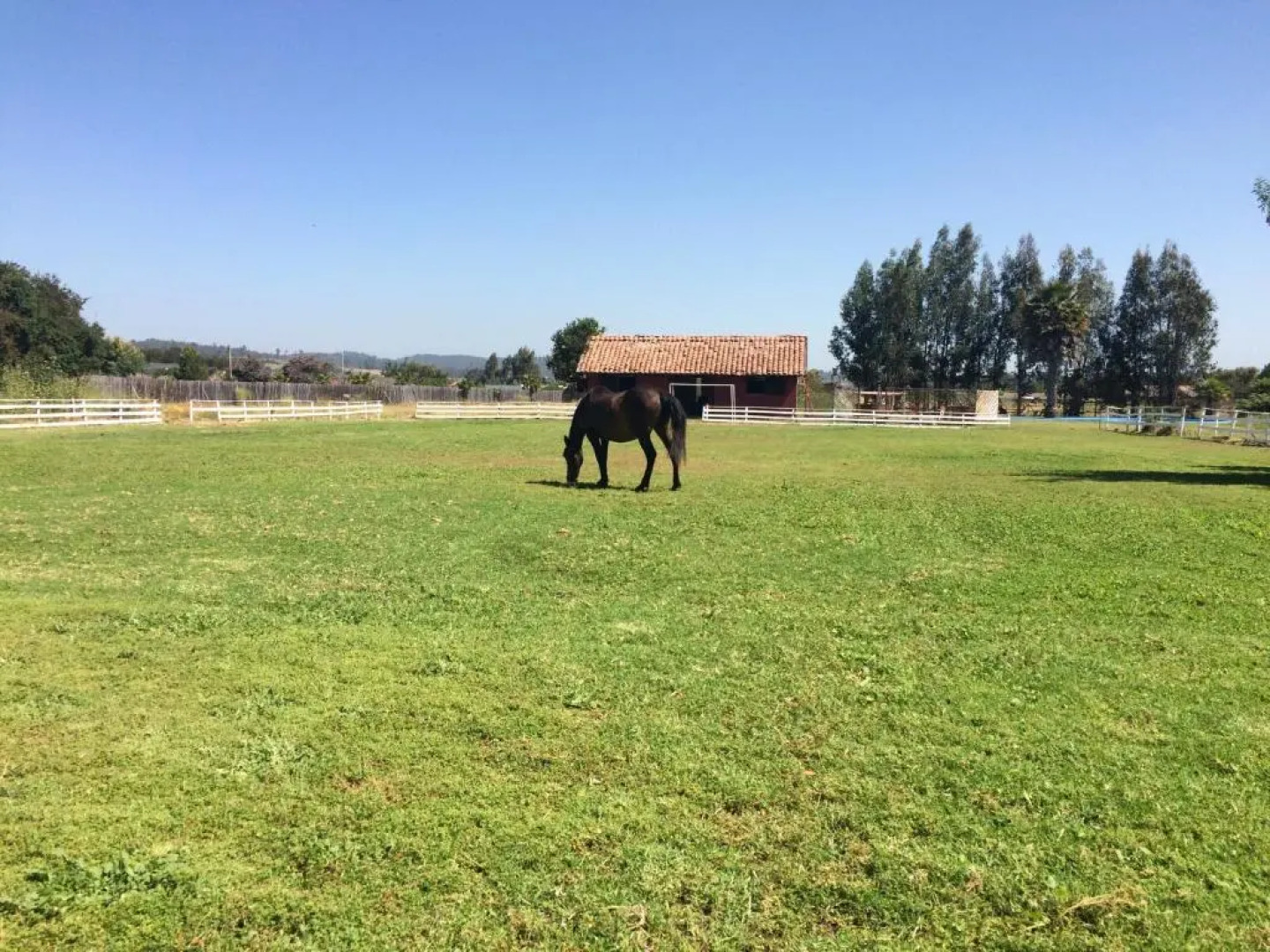 Hotel Haras Casacampo