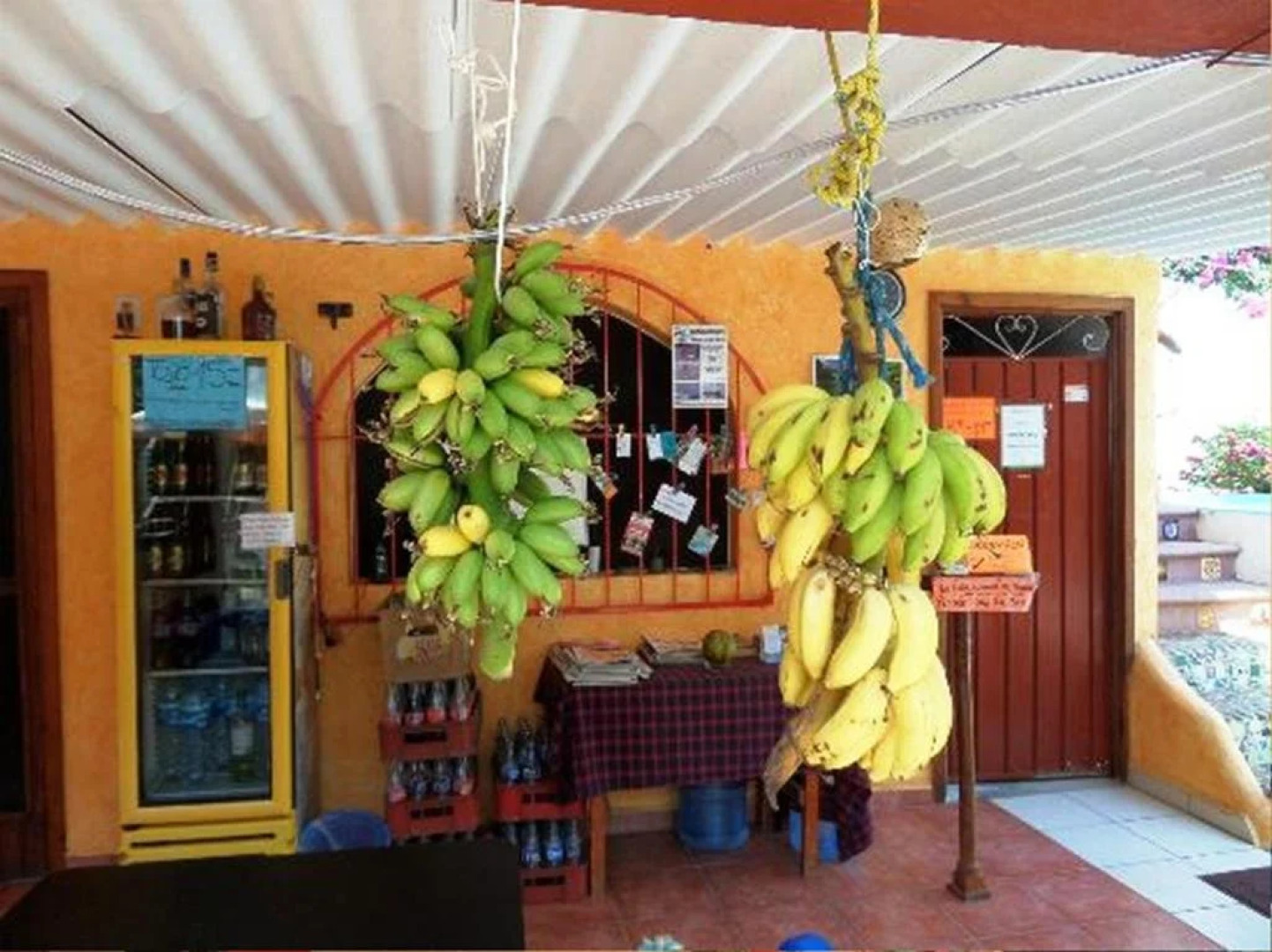 Hotelito Swiss Oasis - Adults Only