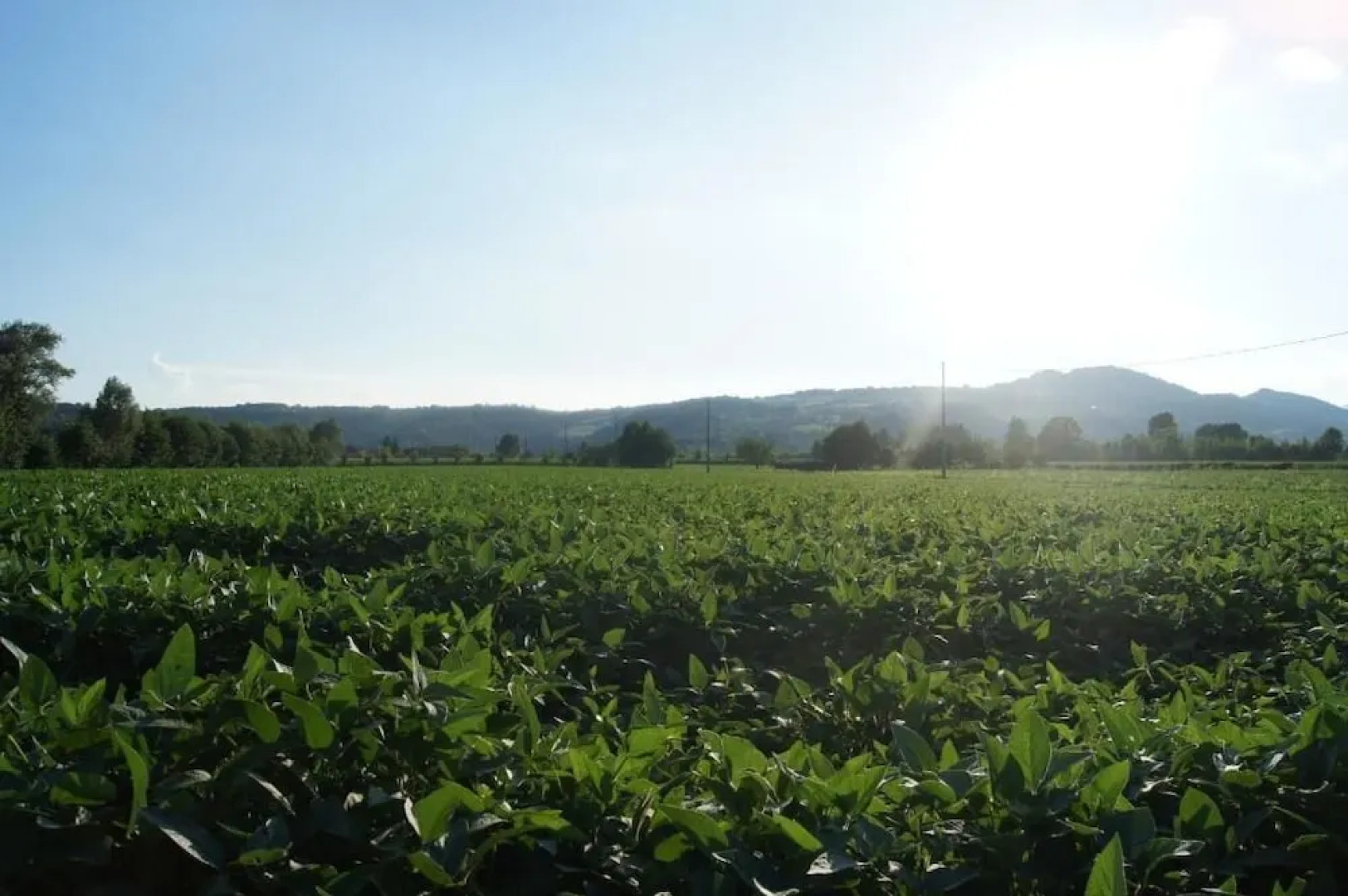 Agriturismo alla Corte