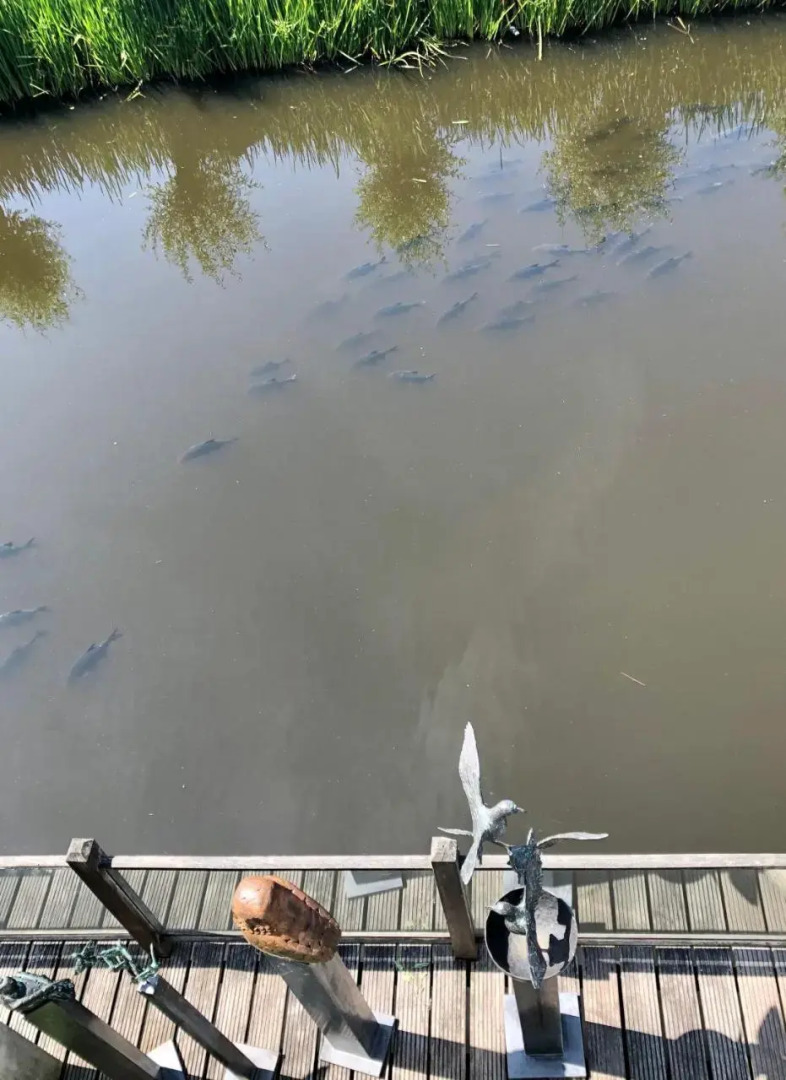 Art Bed and Breakfast