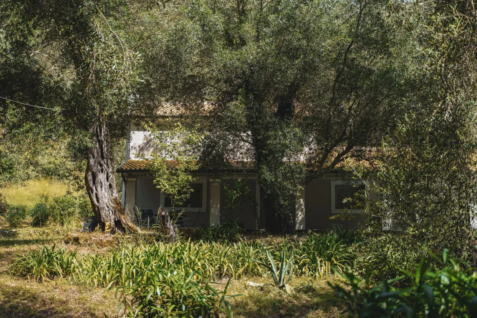 Dimoulitsa Villas Complex