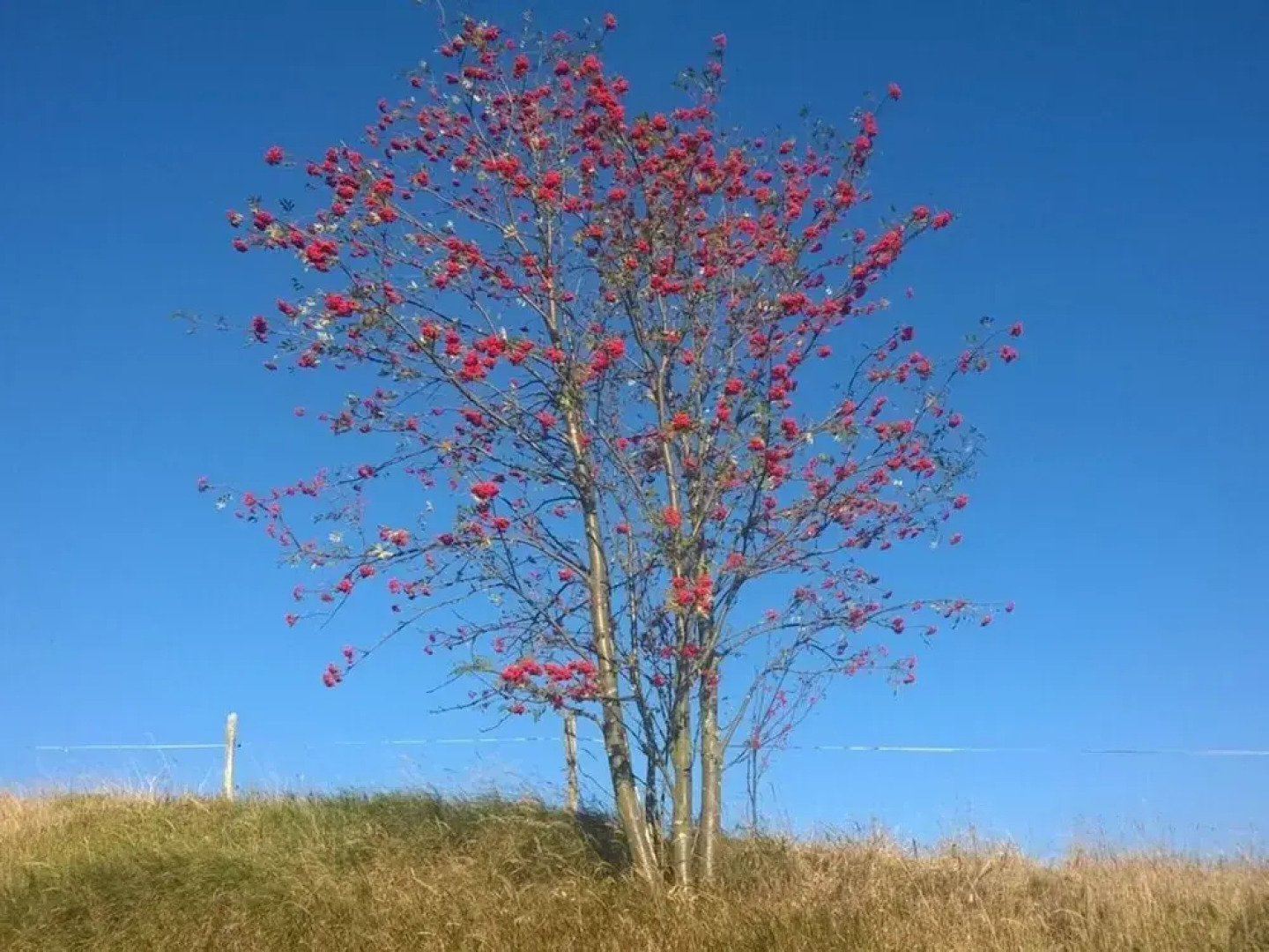 Gutsweg One - Apartment 3