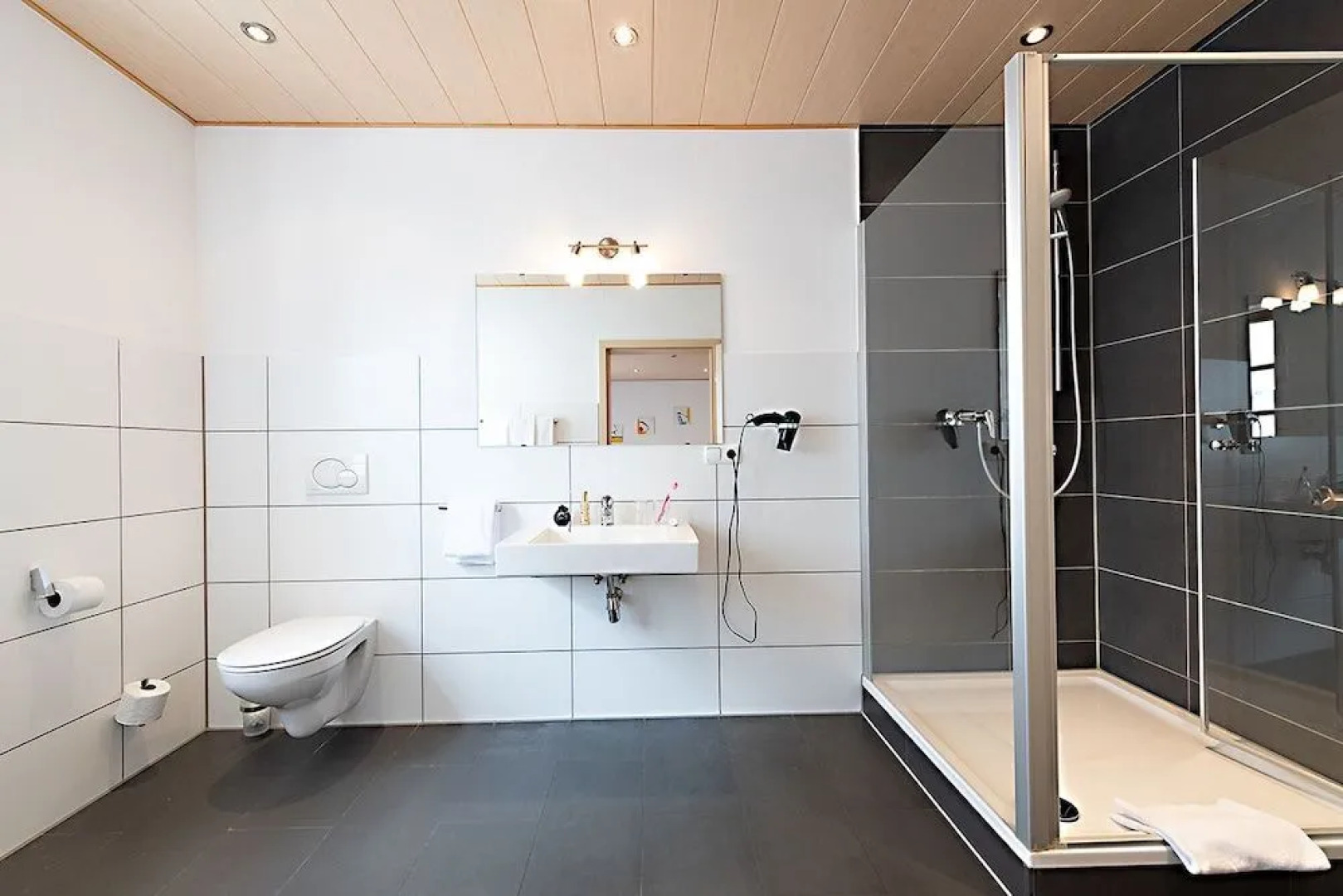 Goldener Hirsch Donauwörth