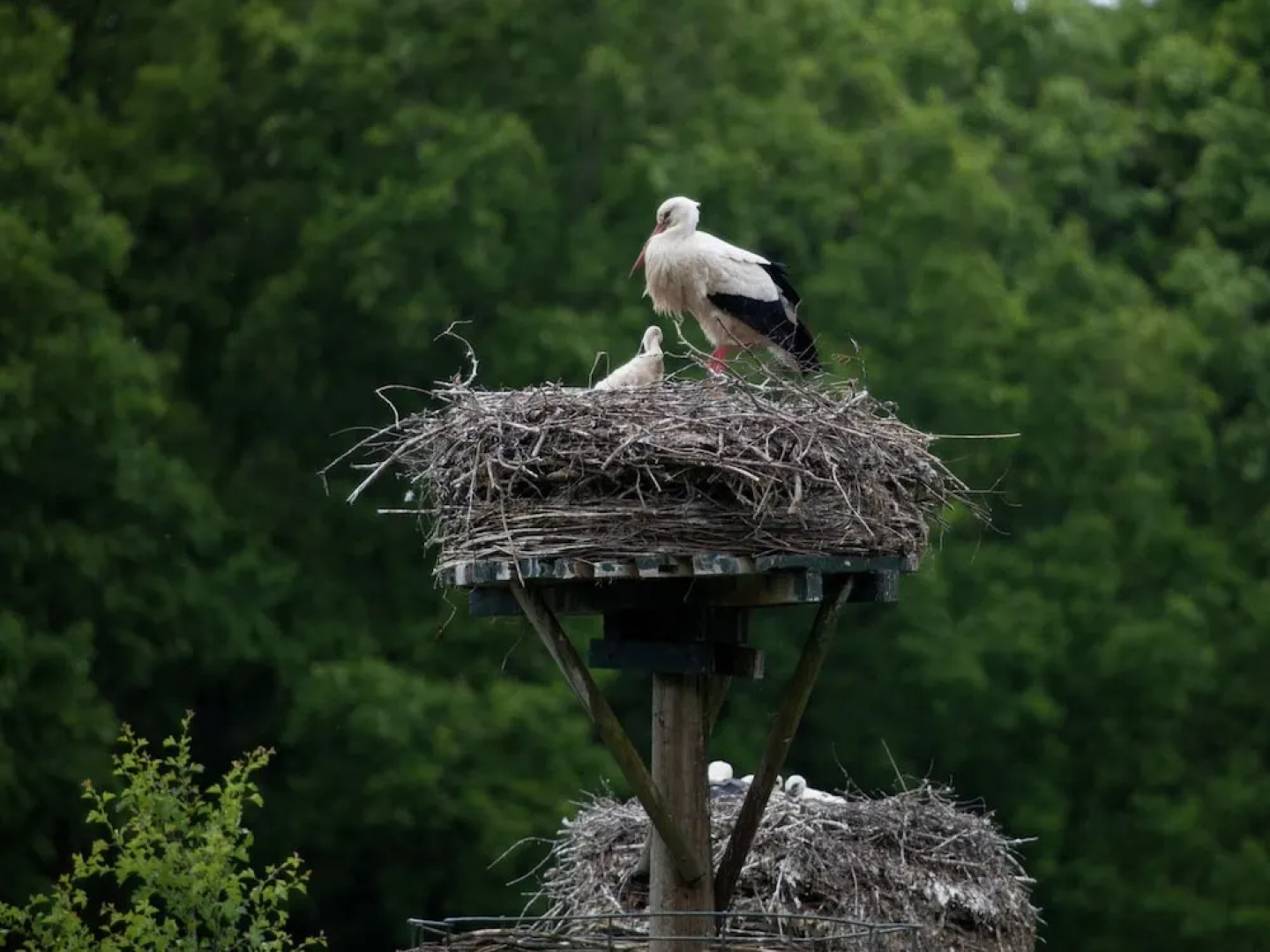 Cozy Chalet in a Natural Environment
