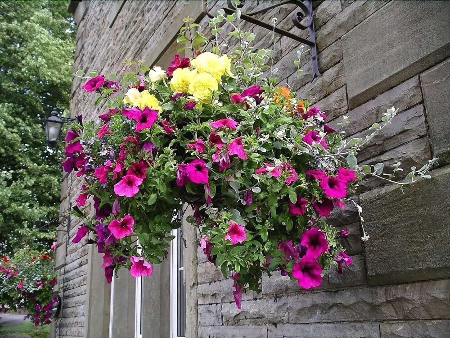 Ashcroft Guest House