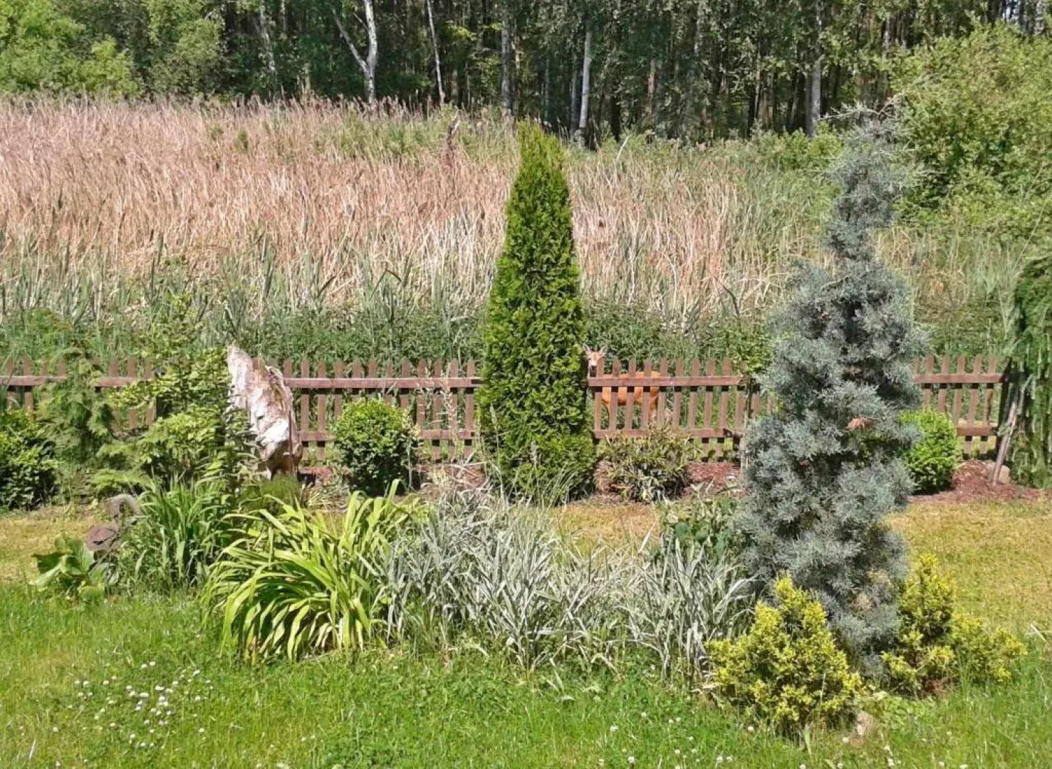 Ferienhaus Warenthin SEE 8841