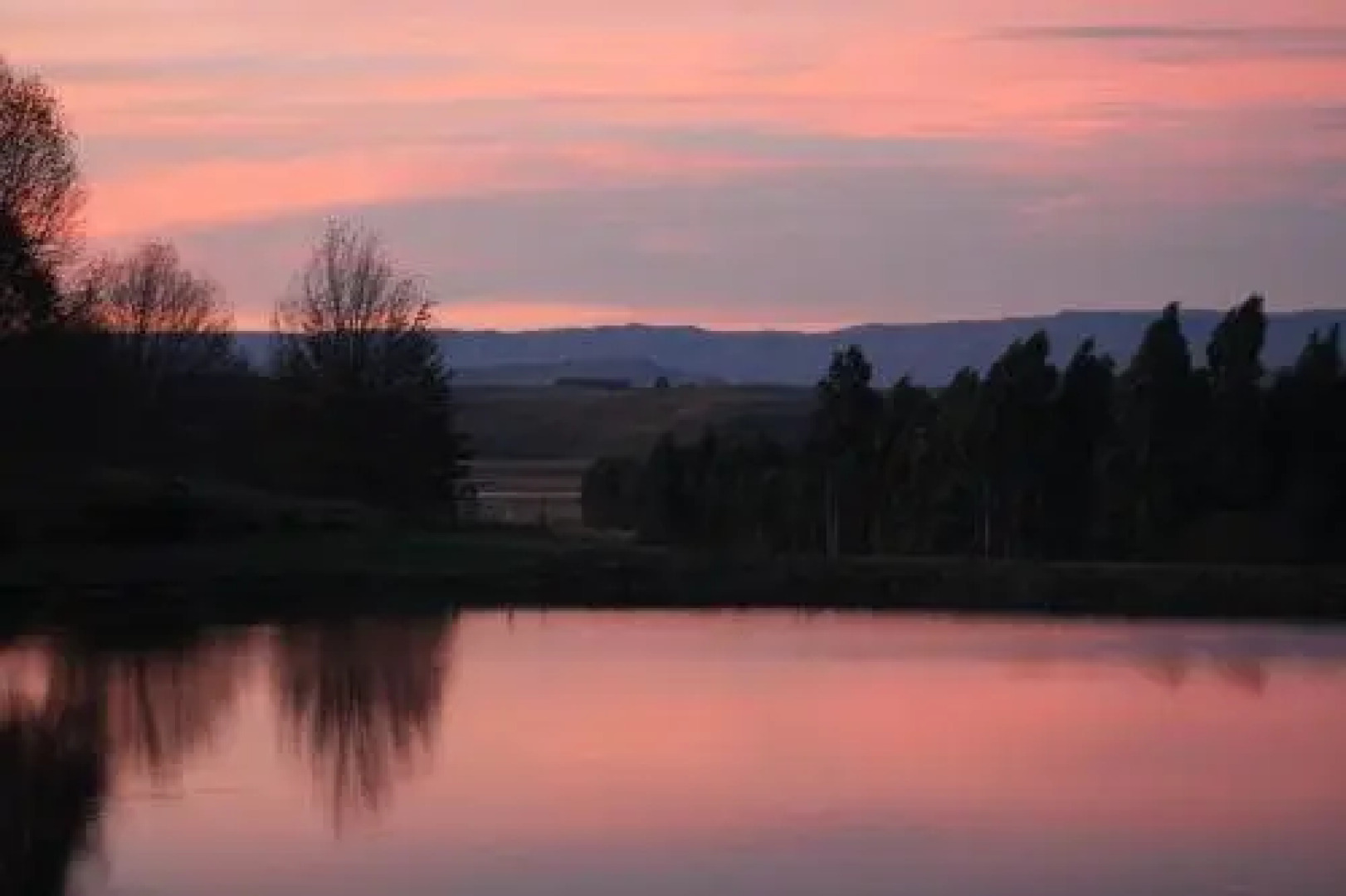 Willowbrooke Cottage