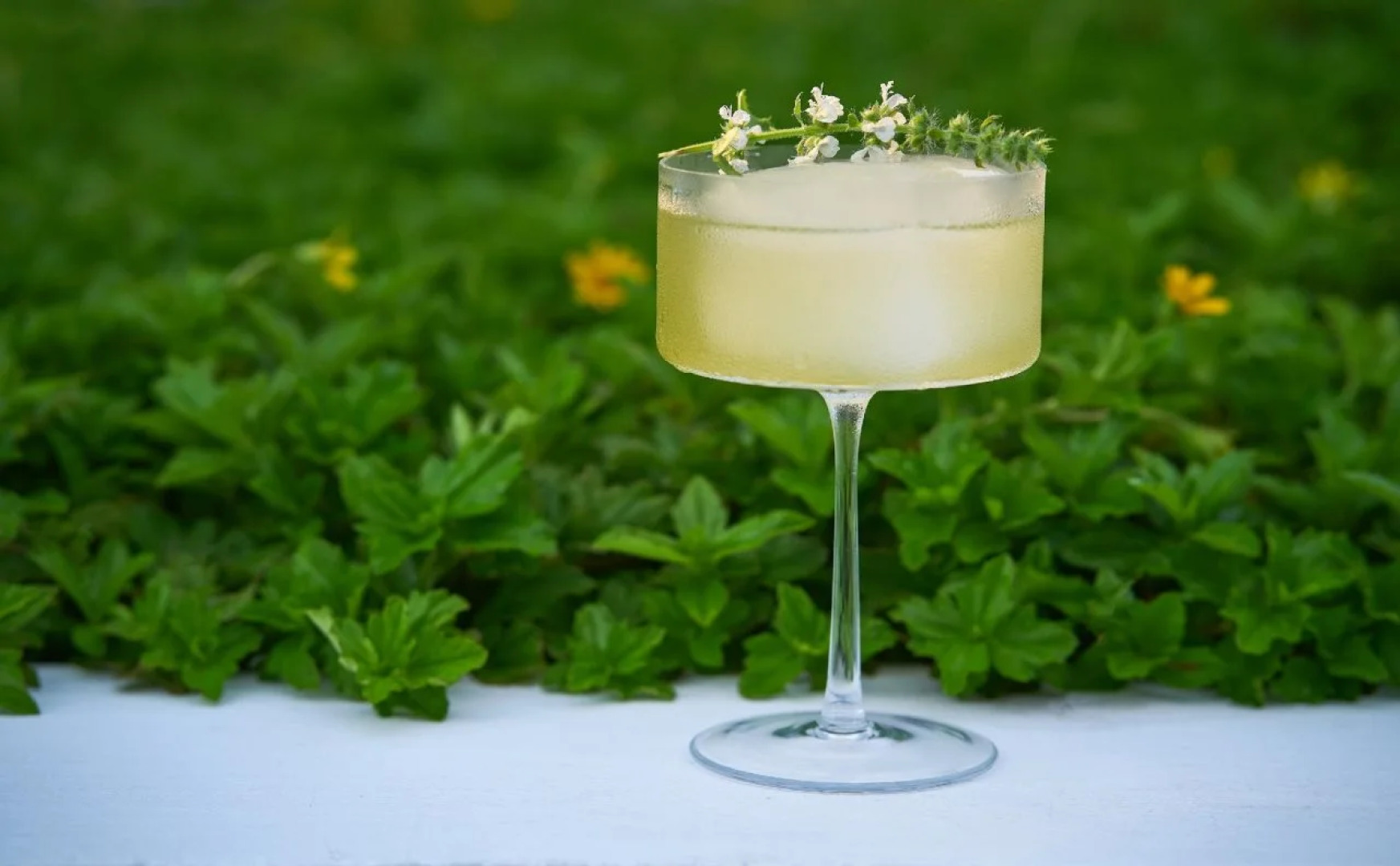 The Halcyon Private Isles Maldives, Autograph Collection