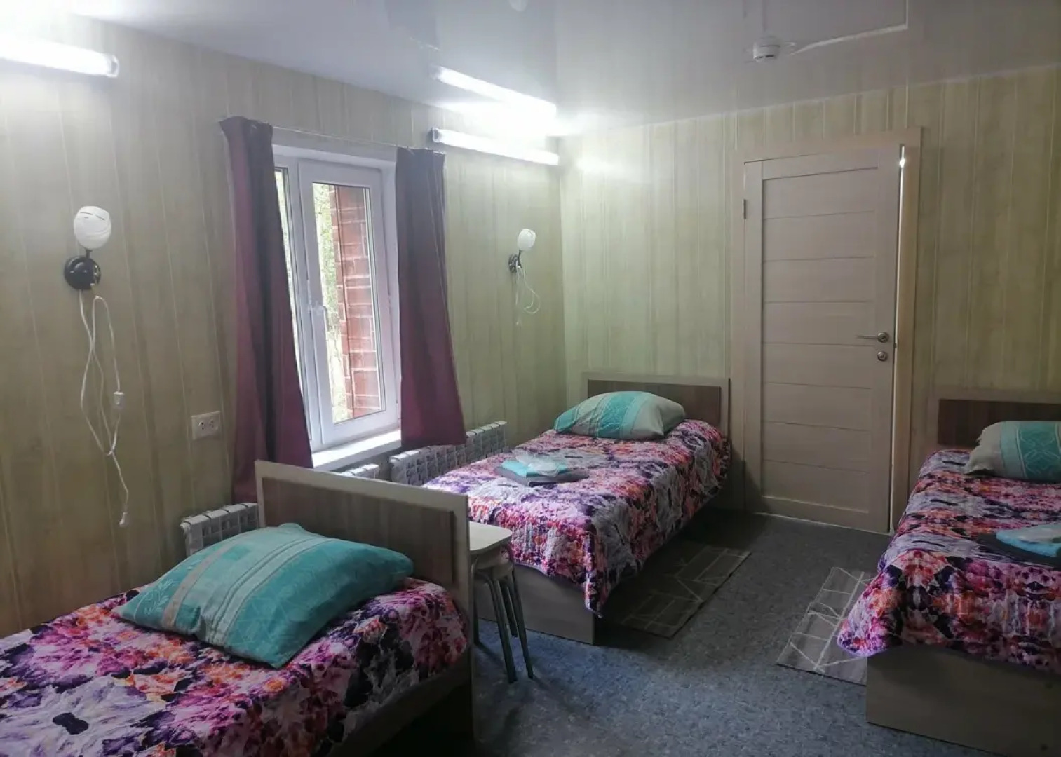 Полярная сова