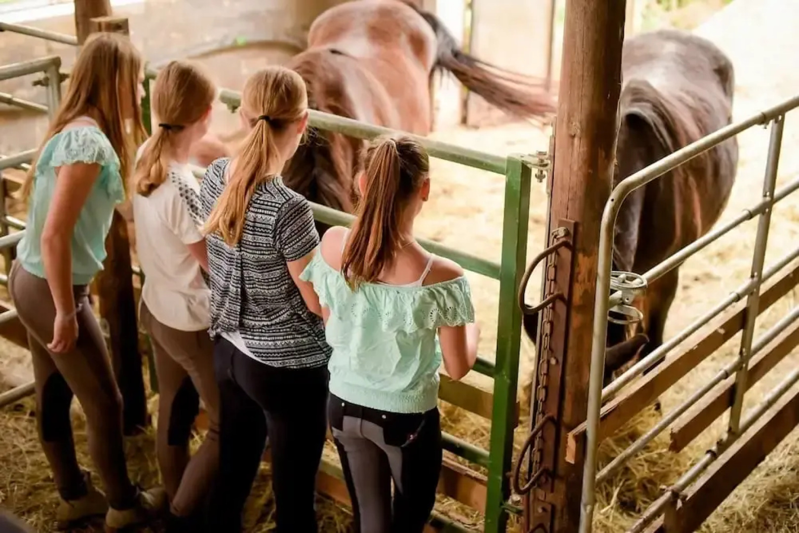 Nengshof - Haus Wildrose