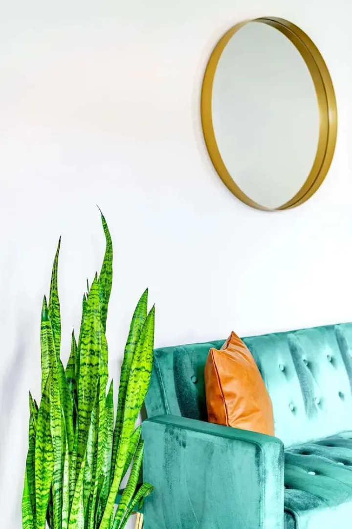 Prime Location Top Rated Clean Parking Free