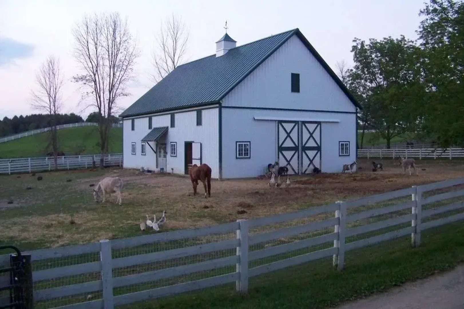 Shamrock Farm Bed & Breakfast
