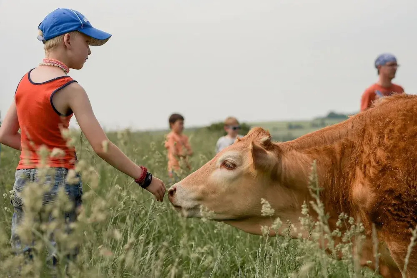 Nengshof - Haus Ehrenpreis