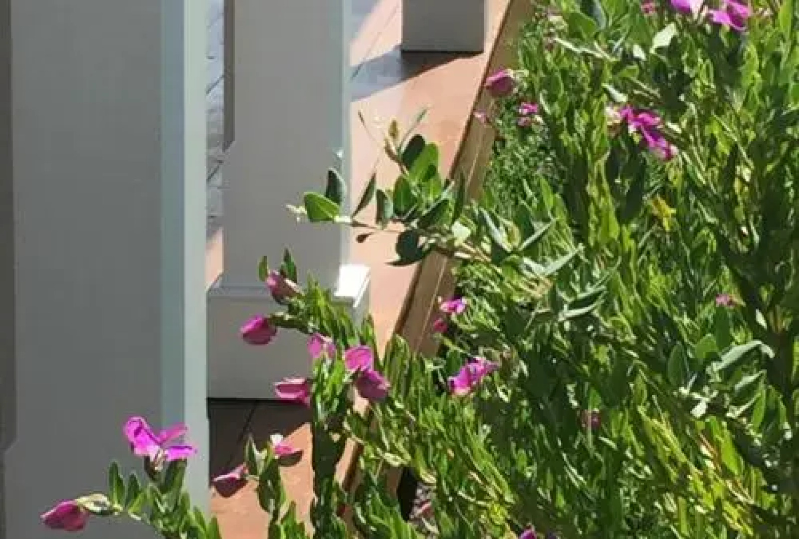 Gulgong Accommodation