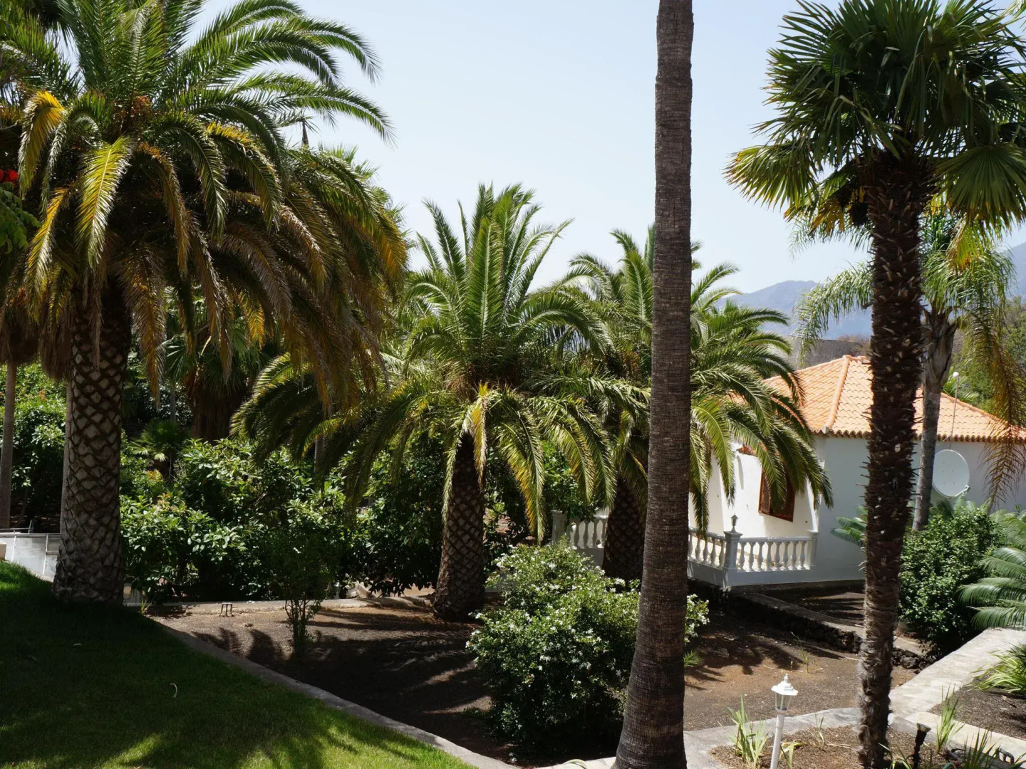Apartment in El Paso with spectacular views