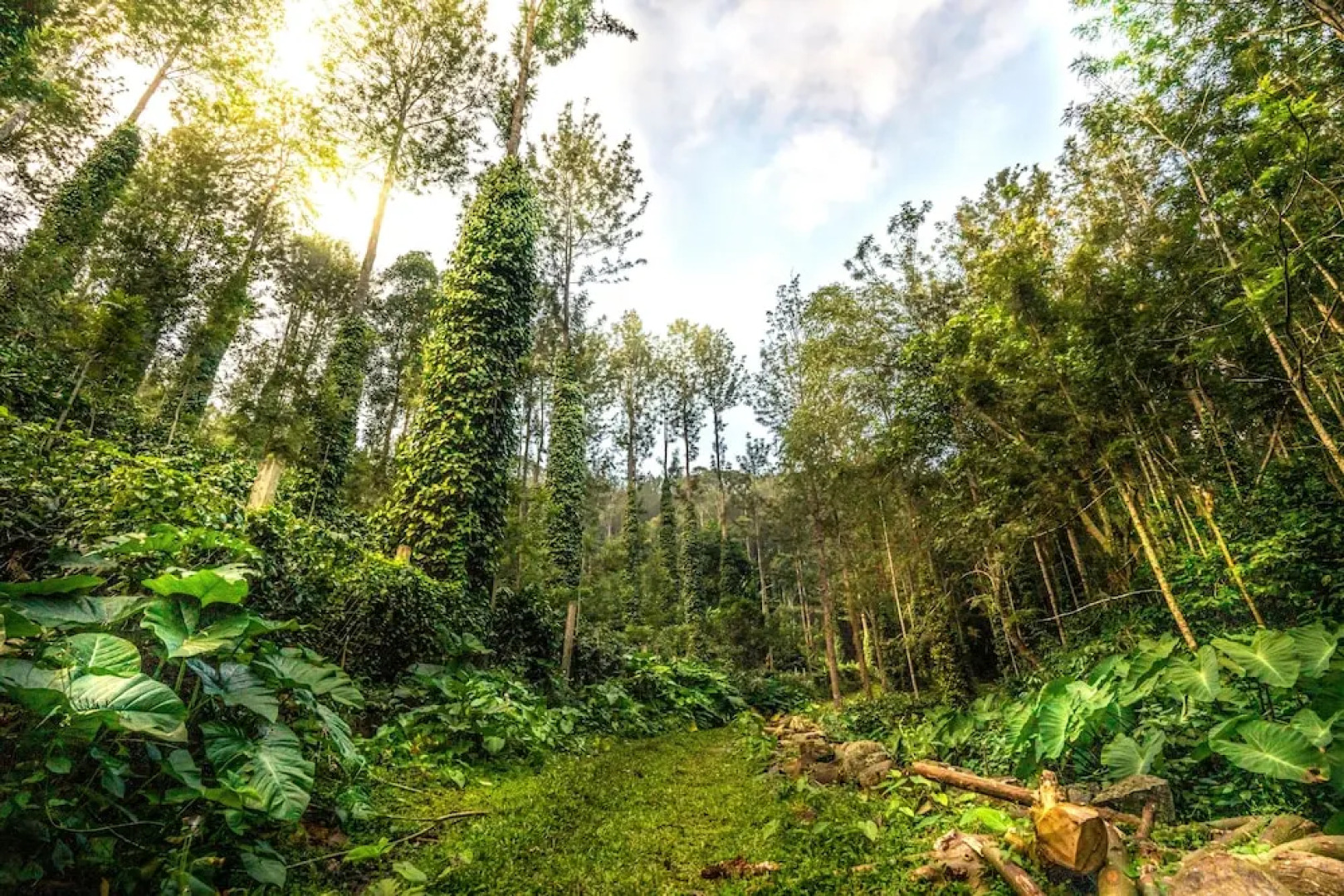 Shambala Resort & Spa By Sparsa